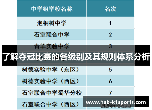 了解夺冠比赛的各级别及其规则体系分析